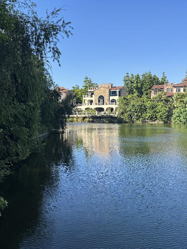 综影:我自有精彩